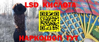 а пвп мука Кингисепп