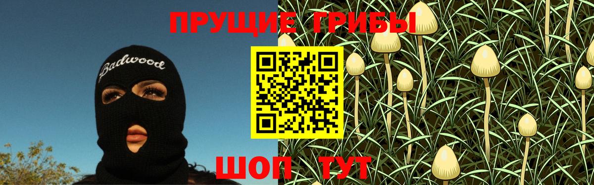 Кировск  Галлюциногенные грибы Cubensis  Вход с VPN 