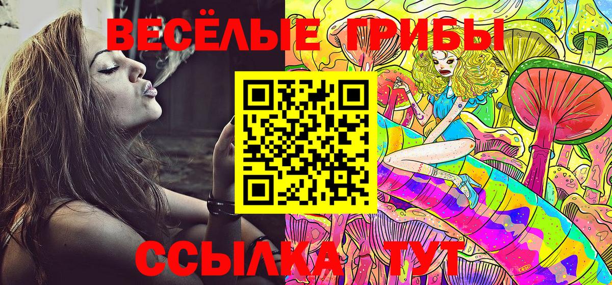 Псилоцибиновые грибы Magic Shrooms Кировск